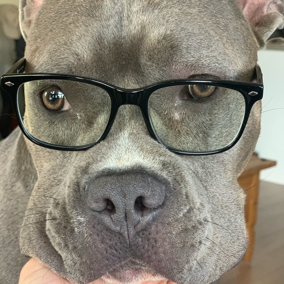 Meet your Posher, Manon - Picture 1 of 1